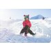 Снежный балансир на лыже Gismo Riders Skidrifter (Чехия) (черно-белый)