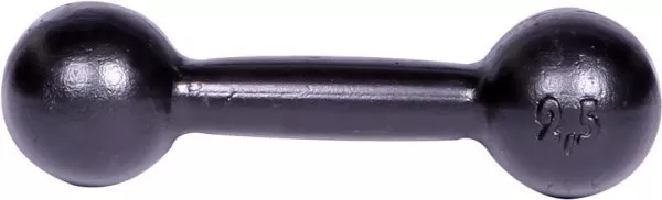 Гантель Титан 2,5 кг литая