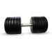 Гантель Barbell 59 кг классик с вращающейся ручкой хром
