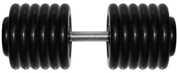 Гантель Barbell 66 кг профи