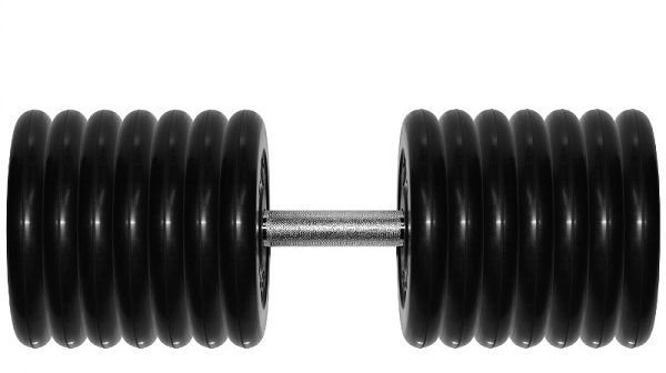 Гантель Barbell 71 кг профи